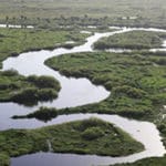 Florida, USA – Caracara Monitoring & Tagging in Support of Kissimmee River Restoration (KRR) – USACE. NAICS Code – 541620